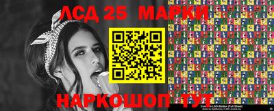 гашик Можга