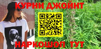 гашик Можга