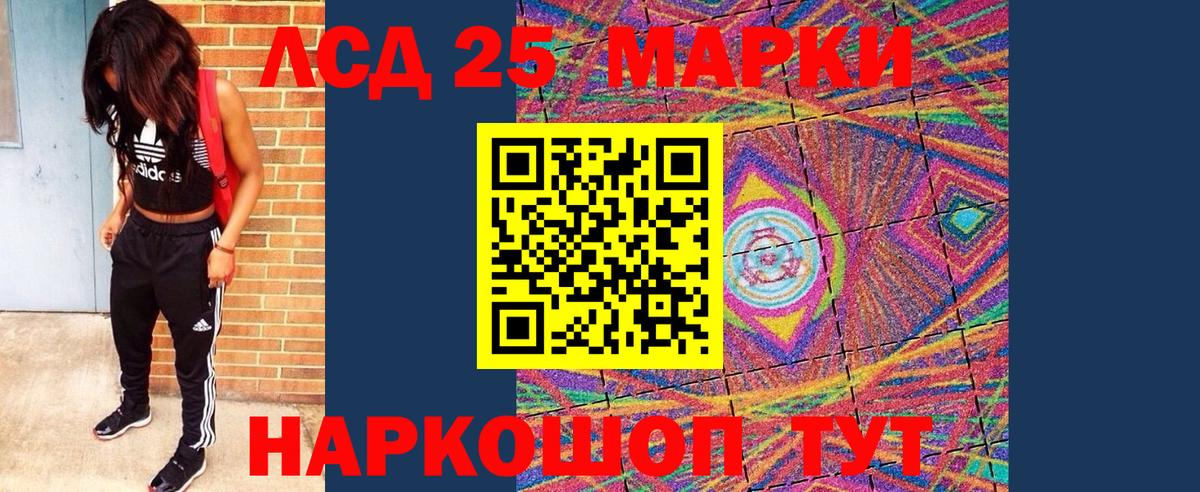 Скопин  даркнет сайт  Наркотические марки 1500мкг  Вход с VPN  Наркотические марки 1500мкг 