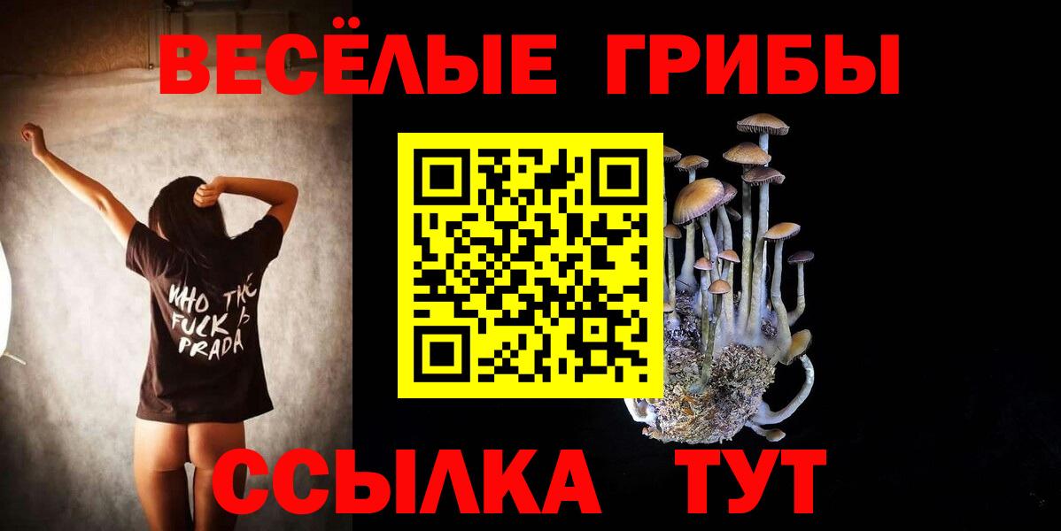 Скопин  Галлюциногенные грибы Magic Shrooms  Вход с VPN  Псилоцибиновые грибы MAGIC MUSHROOMS 